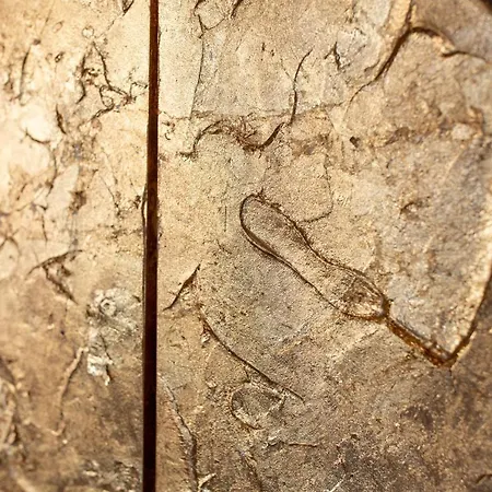 Inselhof 3* מאלצ'ו