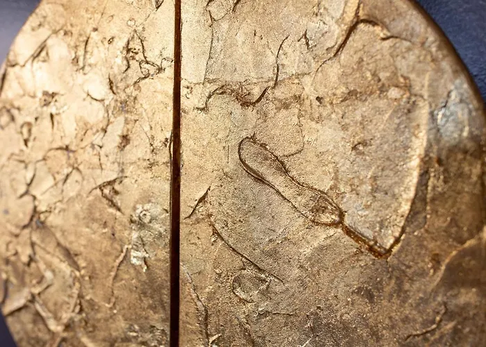 Inselhof 3* Malchow (Mecklenburg-Vorpommern)